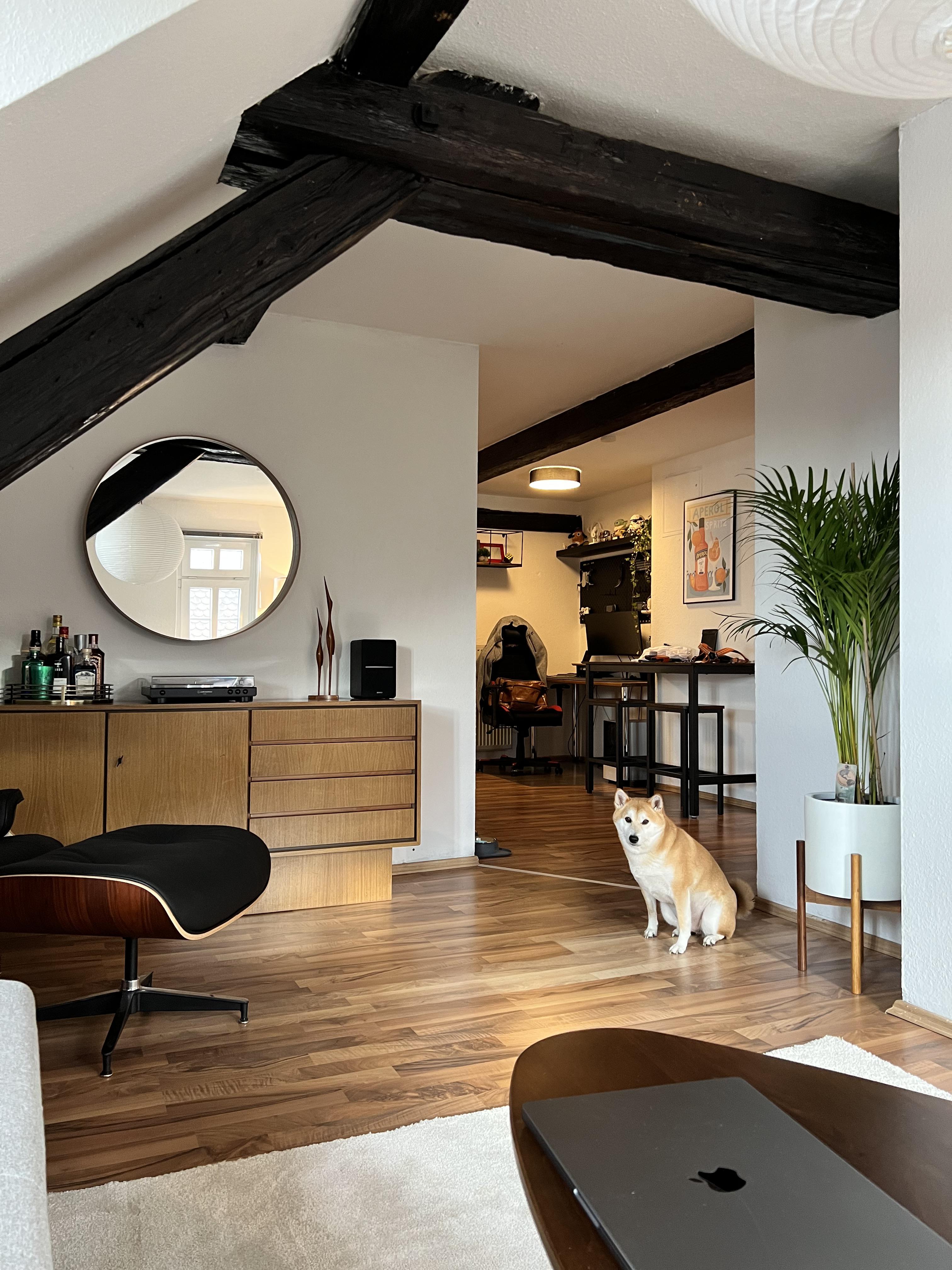 This sleek and modern living space is a design inspiration for those who appreciate a minimalist aesthetic. The space features a mix of authentic and replica mid-century modern furniture, including an Eames chair and Nelson clock. The Noguchi coffee table and console add a touch of luxury, while the bar/sideboard from the 60s adds character. The space is well-organized with a USB switch and MouseWithoutBorders for easy connectivity. Overall, this living space is a perfect example of how to create a stylish and functional home. /2022_12_12_zkcqg1/sehu71chej5a1.jpg